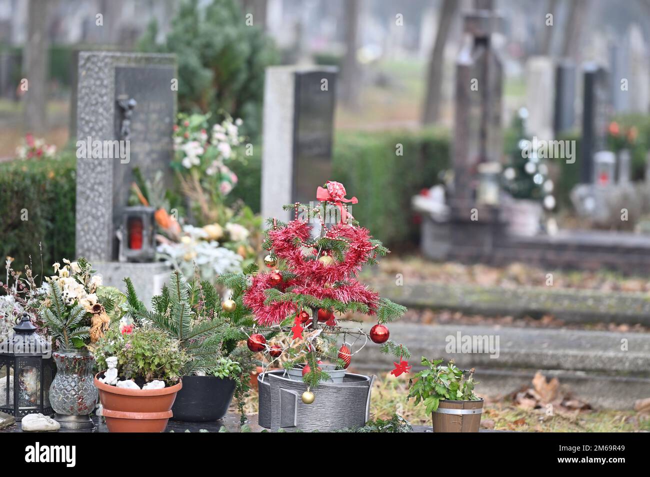 Vienna, Austria. Vienna Central Cemetery. Christmas decorations in front of a grave at the Central Cemetery in Vienna Stock Photo