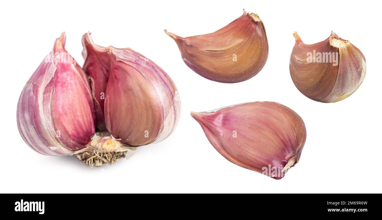 Garlic bulb and garlic cloves on white background Stock Photo - Alamy