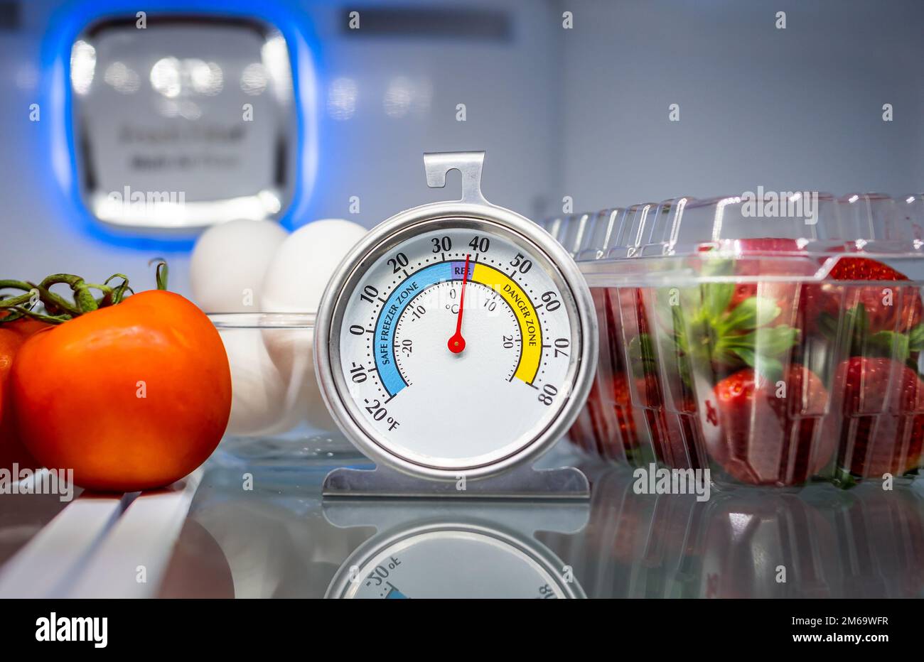 Refrigerator thermometer with colorful food in cold storage unit