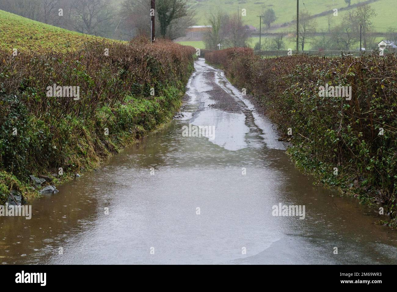 Farlacombe, Devon, UK. 03 Jan 2023, High winds and heavy rain cause flooding and potholes on rural roads in Devon. Credit: Will Tudor/Alamy Live News Stock Photo