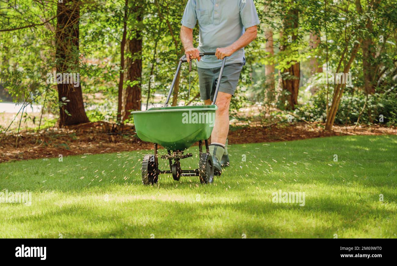 Man fertilizing and seeding residential backyard lawn with manual grass