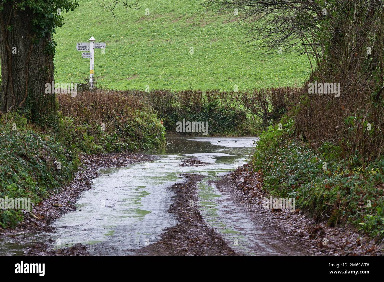 Farlacombe, Devon, UK. 03 Jan 2023, High winds and heavy rain cause flooding and potholes on rural roads in Devon. Credit: Will Tudor/Alamy Live News Stock Photo