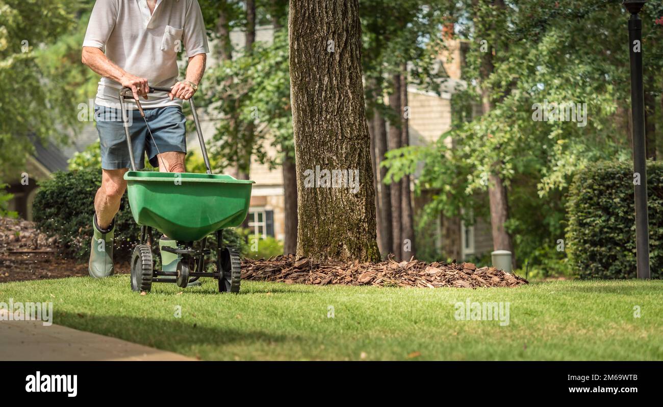 Man seeding and fertilizing residential backyard lawn with manual grass seed spreader. Stock Photo