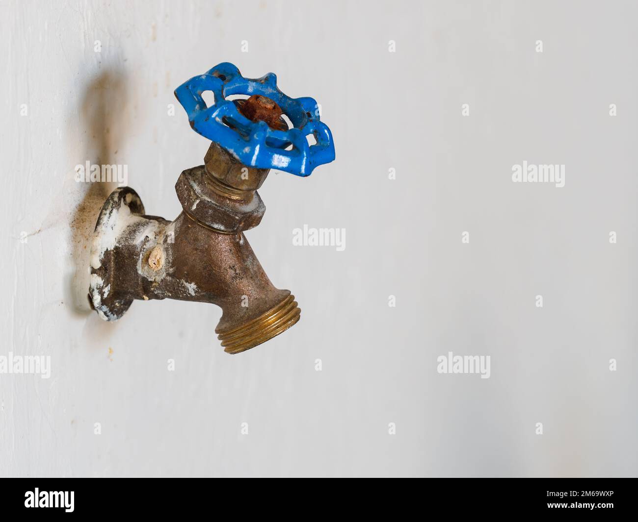 Outdoor water spigot for watering garden and lawn irrigation. Classic brass water faucet with blue handle. Stock Photo