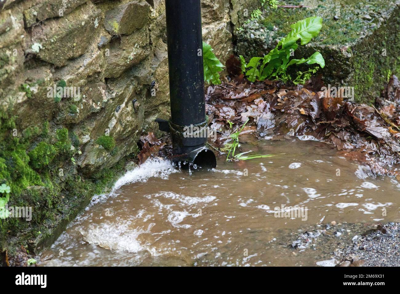 Farlacombe, Devon, UK. 03 Jan 2023, High winds and heavy rain cause flooding and potholes on rural roads in Devon. Credit: Will Tudor/Alamy Live News Stock Photo