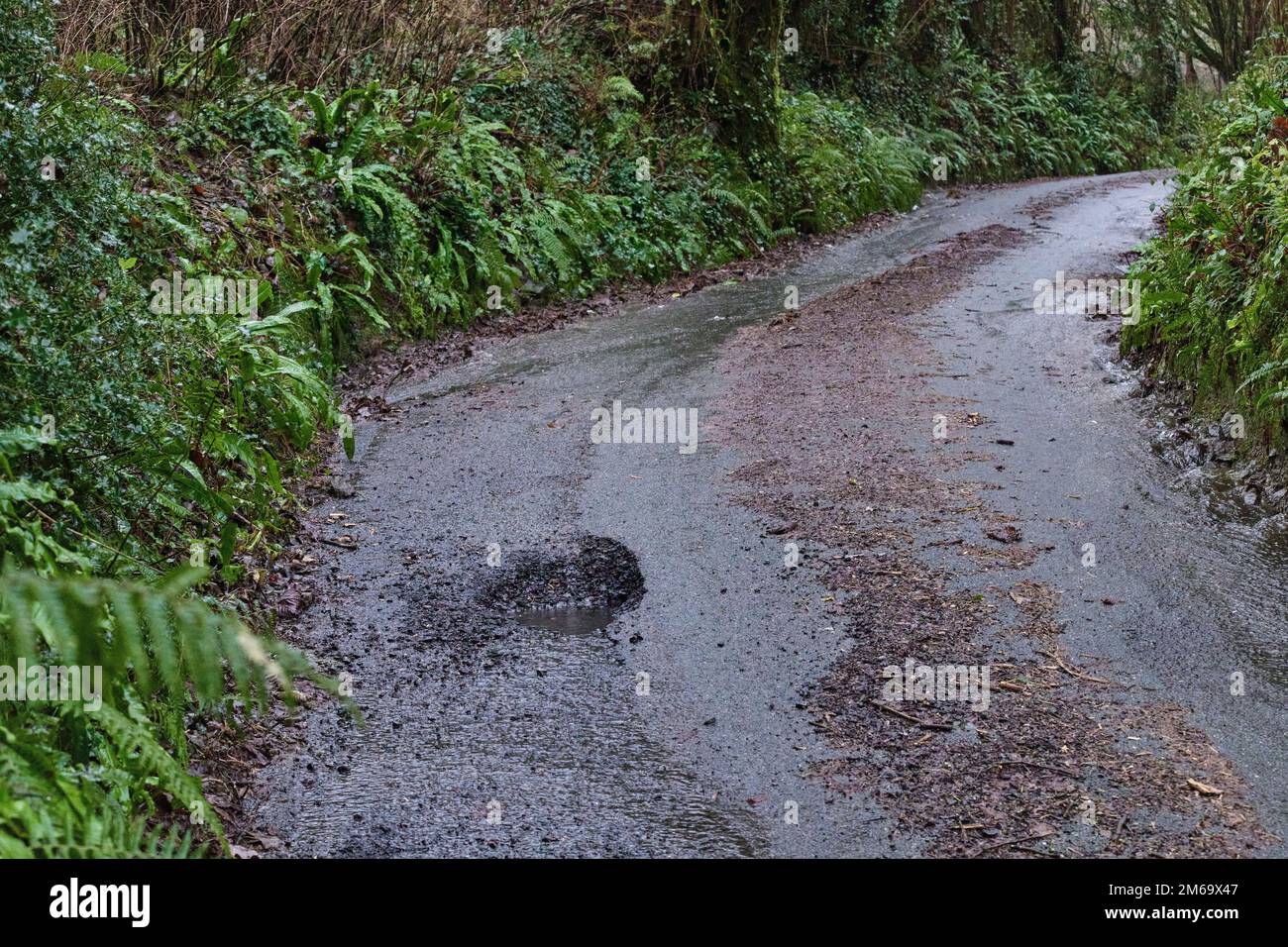 Farlacombe, Devon, UK. 03 Jan 2023, High winds and heavy rain cause flooding and potholes on rural roads in Devon. Credit: Will Tudor/Alamy Live News Stock Photo