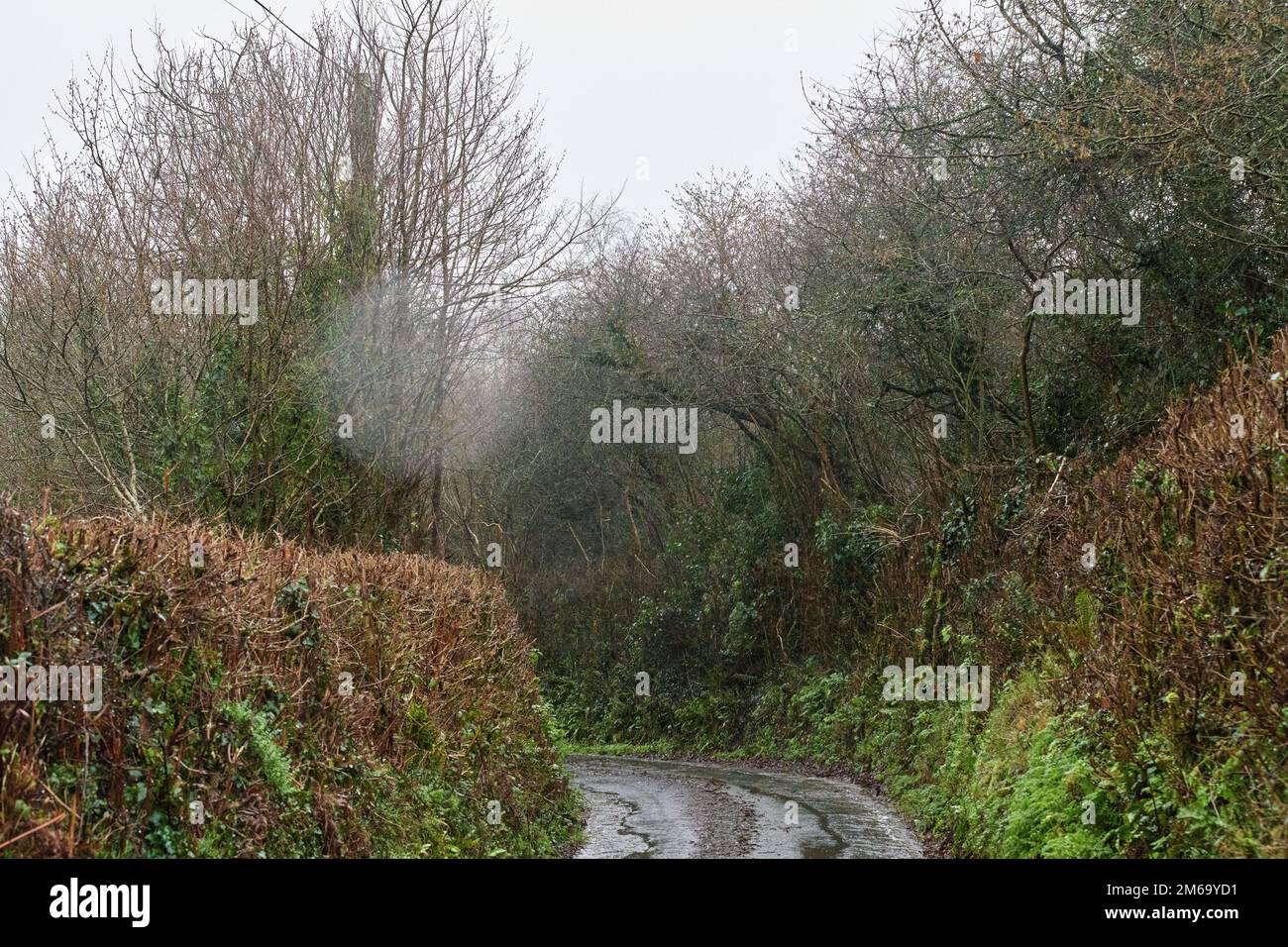 Farlacombe Devon, United Kingdom. 03 Jan 2023, High winds and heavy rain cause flooding and potholes on rural roads in Devon. Credit: Will Tudor/Alamy Live News Stock Photo