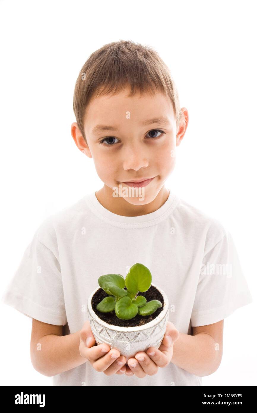 Boy holding flower Stock Photo Alamy