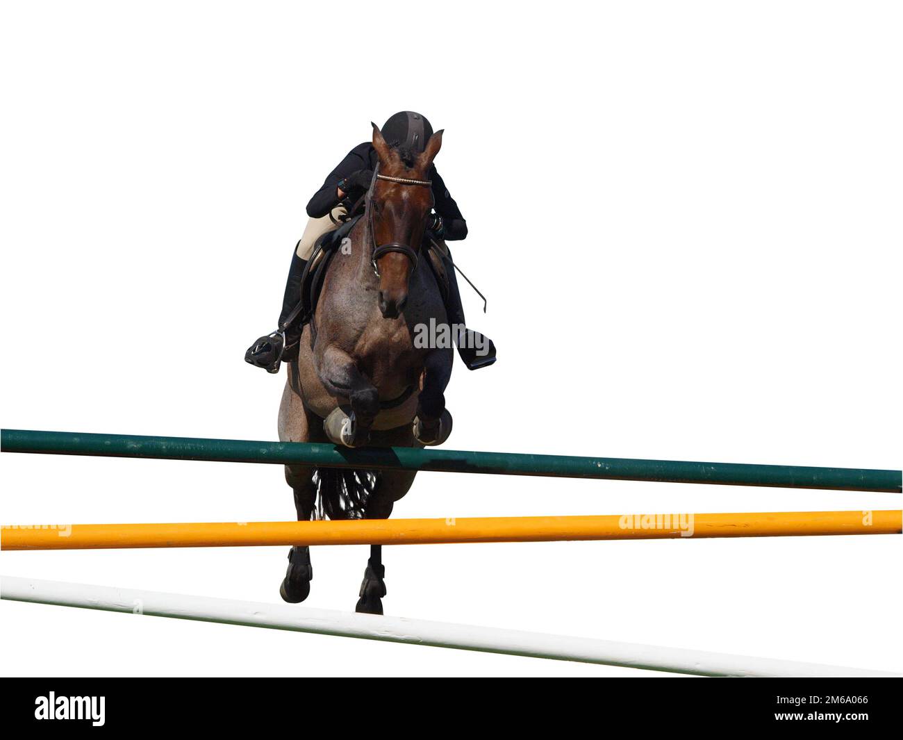 19 Ilustrações de Horse Jumping Over - Getty Images