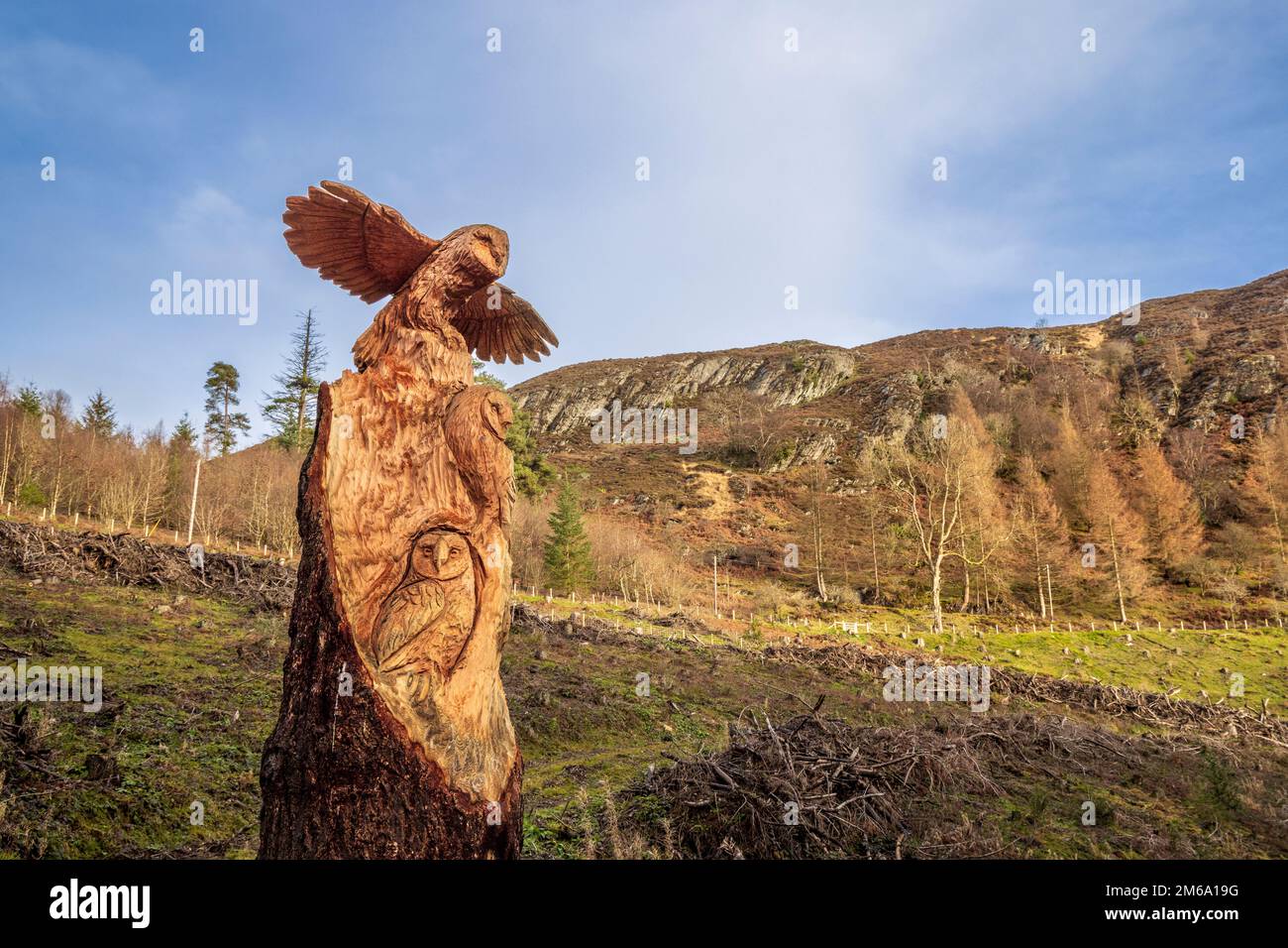 Barn Owl  sculptures on the Elan Valley Sculpture Trail, Powys, Wales Stock Photo