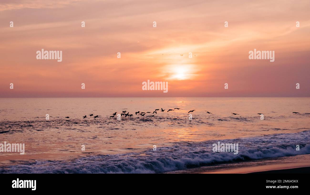 Pelicans flying over the ocean near the shore and during a sunset. Monterrico, Guatemala. Stock Photo