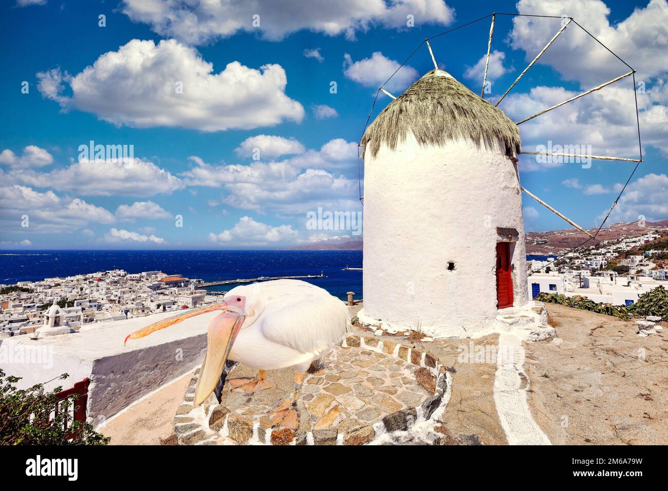 The famous pelican at the windmill of Mykonos island, Greece Stock Photo