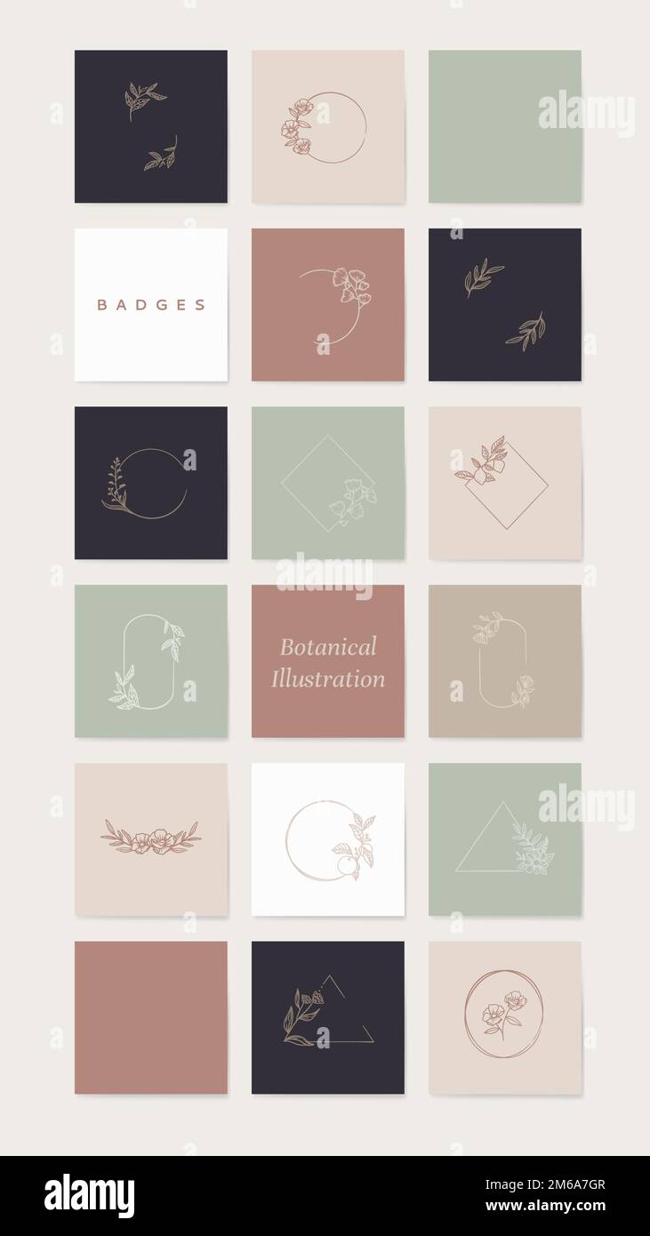Botanical frame element vector collection Stock Vector Image & Art - Alamy