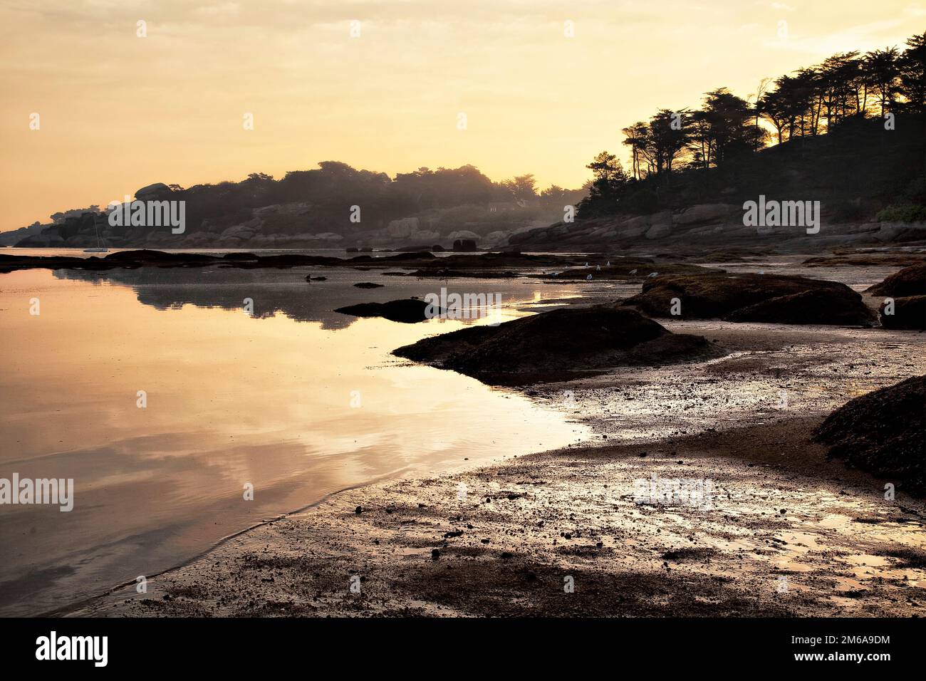 Pink Granite Coast, Ploumanach, Brittany, France Stock Photo - Alamy