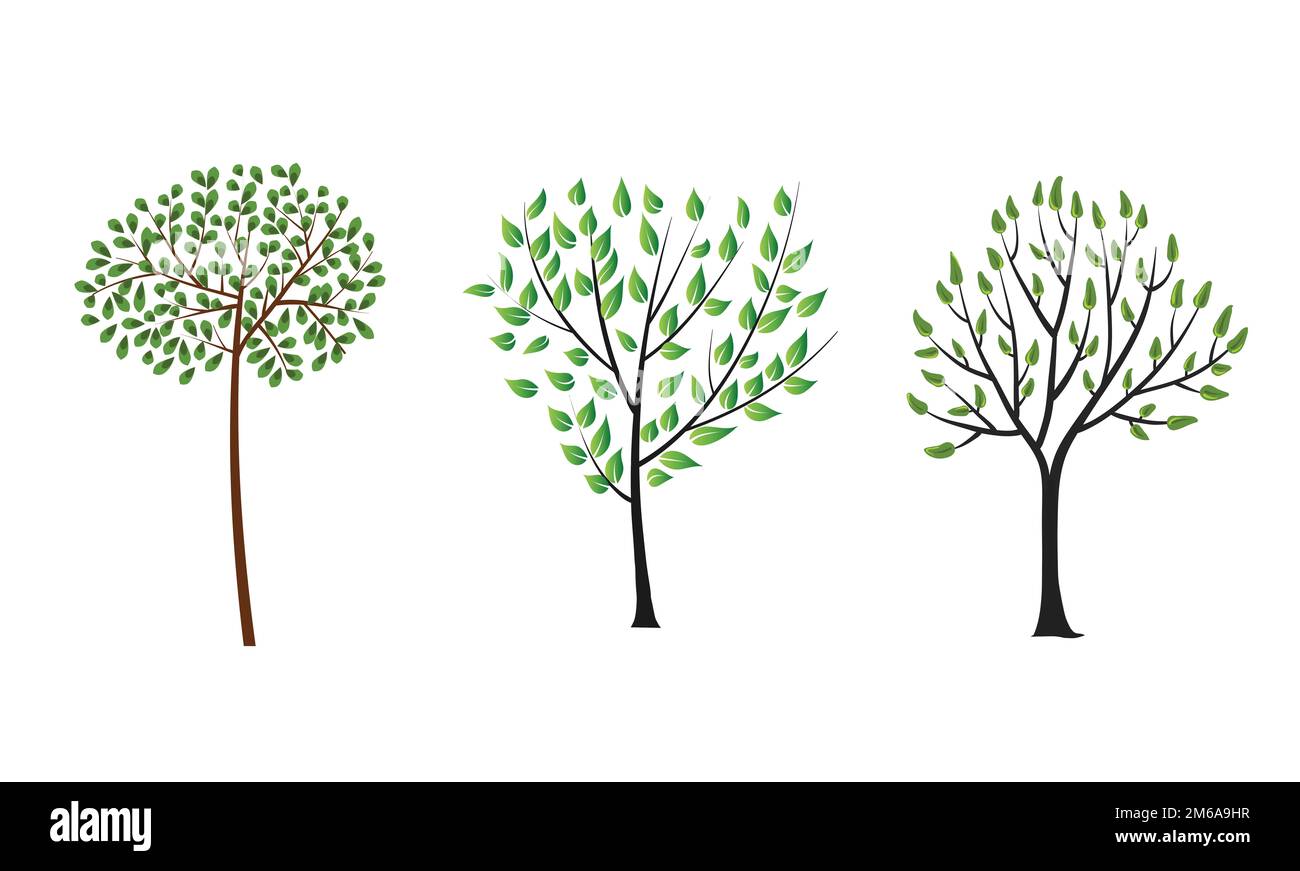 Set of Trees Clip Art isolated on white Stock Photo Alamy