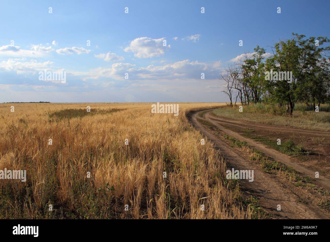 Dirt path along the sloping field Stock Photo