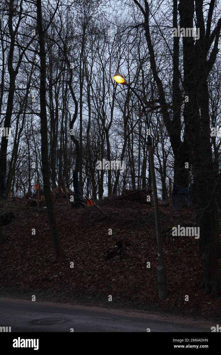 Light and dark forest hi-res stock photography and images - Alamy