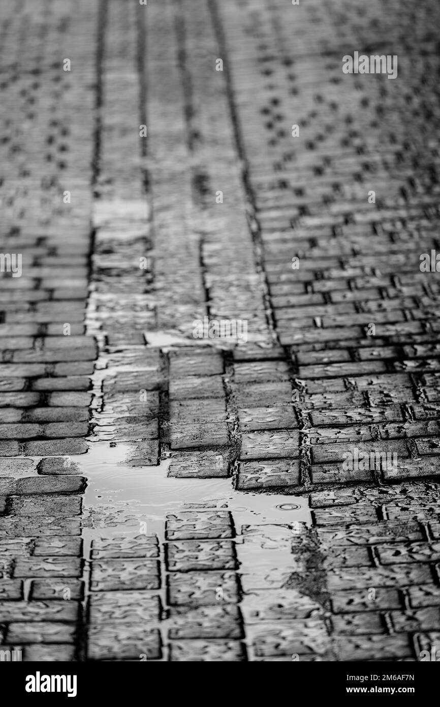 Wet Cobblestone Road Stock Photo