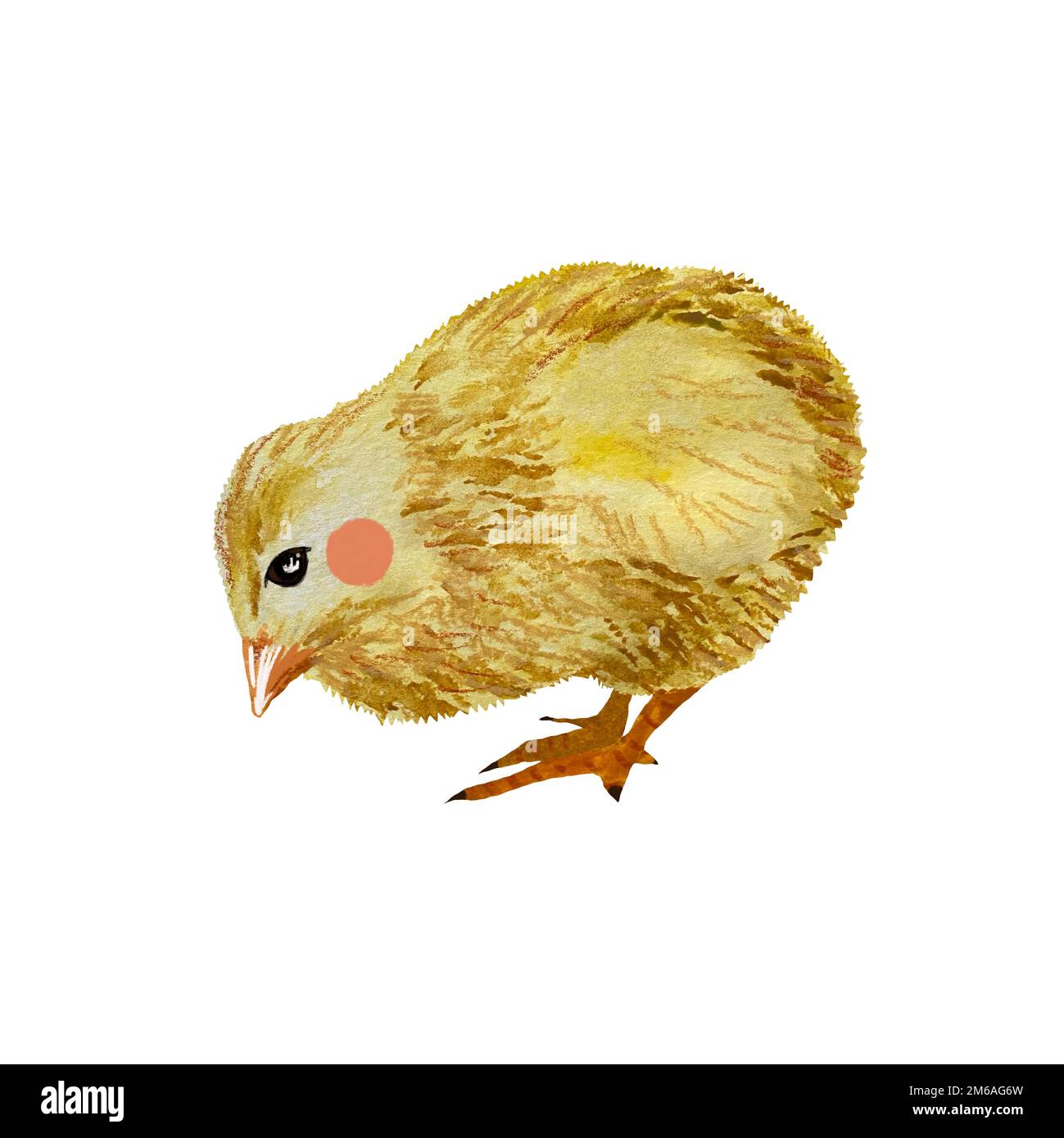 Yellow drawing of a chick hi-res stock photography and images - Alamy