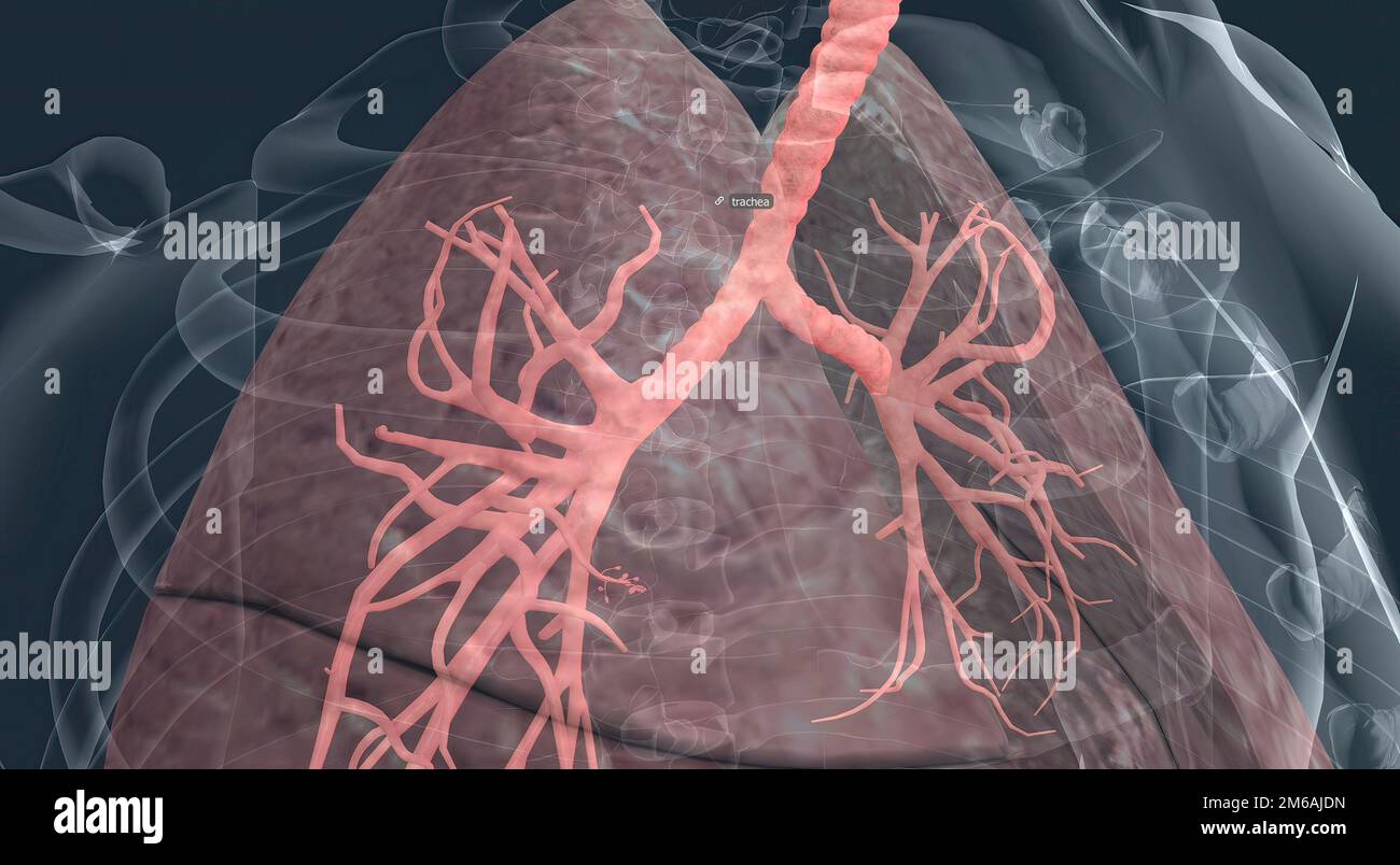 Smallest sound system hires stock photography and images Alamy