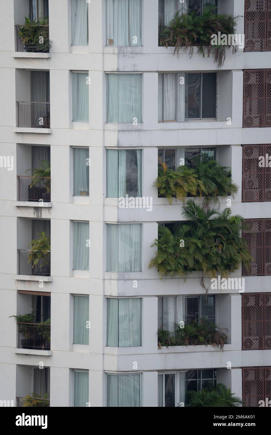 Picture of Green Vegetation at Condo Apartment Building Tower Skyscraper Stock ...