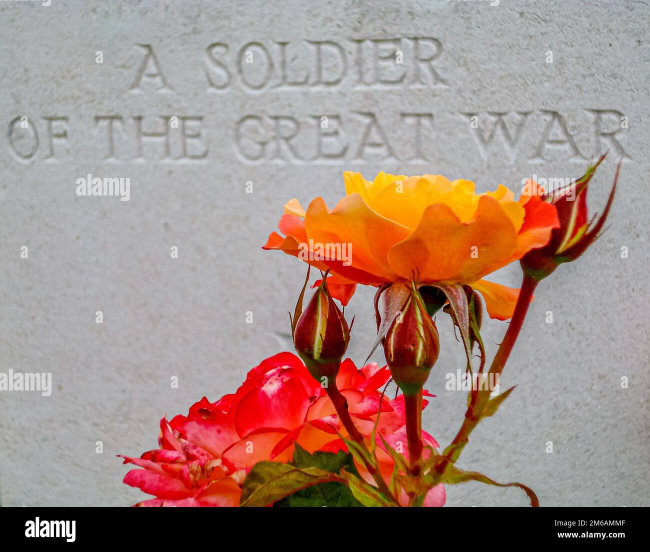 Commonwealth War Grave Headstone for unidentified soldier with colourful flowers Stock Photo
