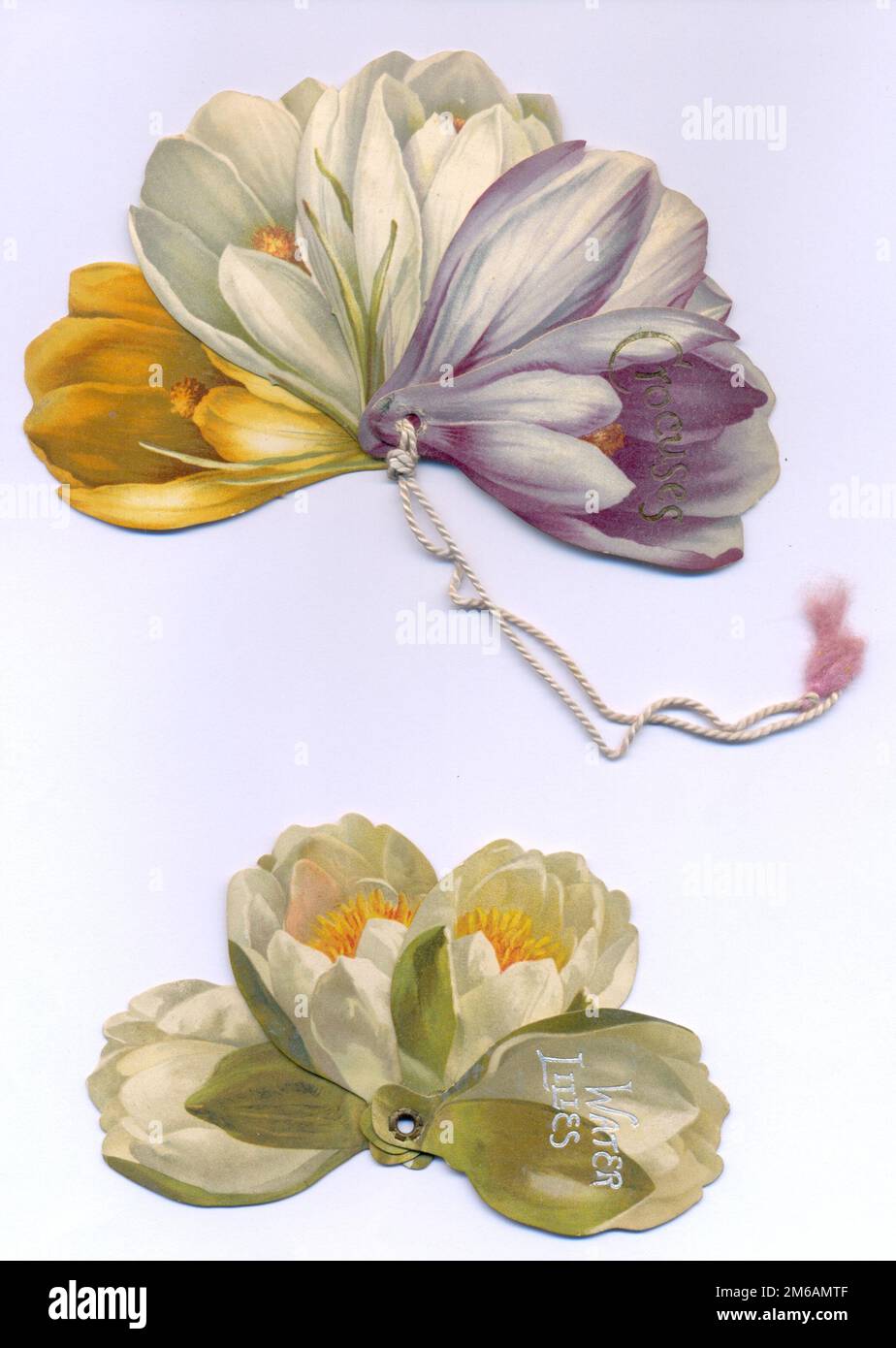 Miniature chromolithographed die cut gift booklets shaped as Crocuses and Water lilies published by Ernest Nister  (shown open) circa 1891 Stock Photo