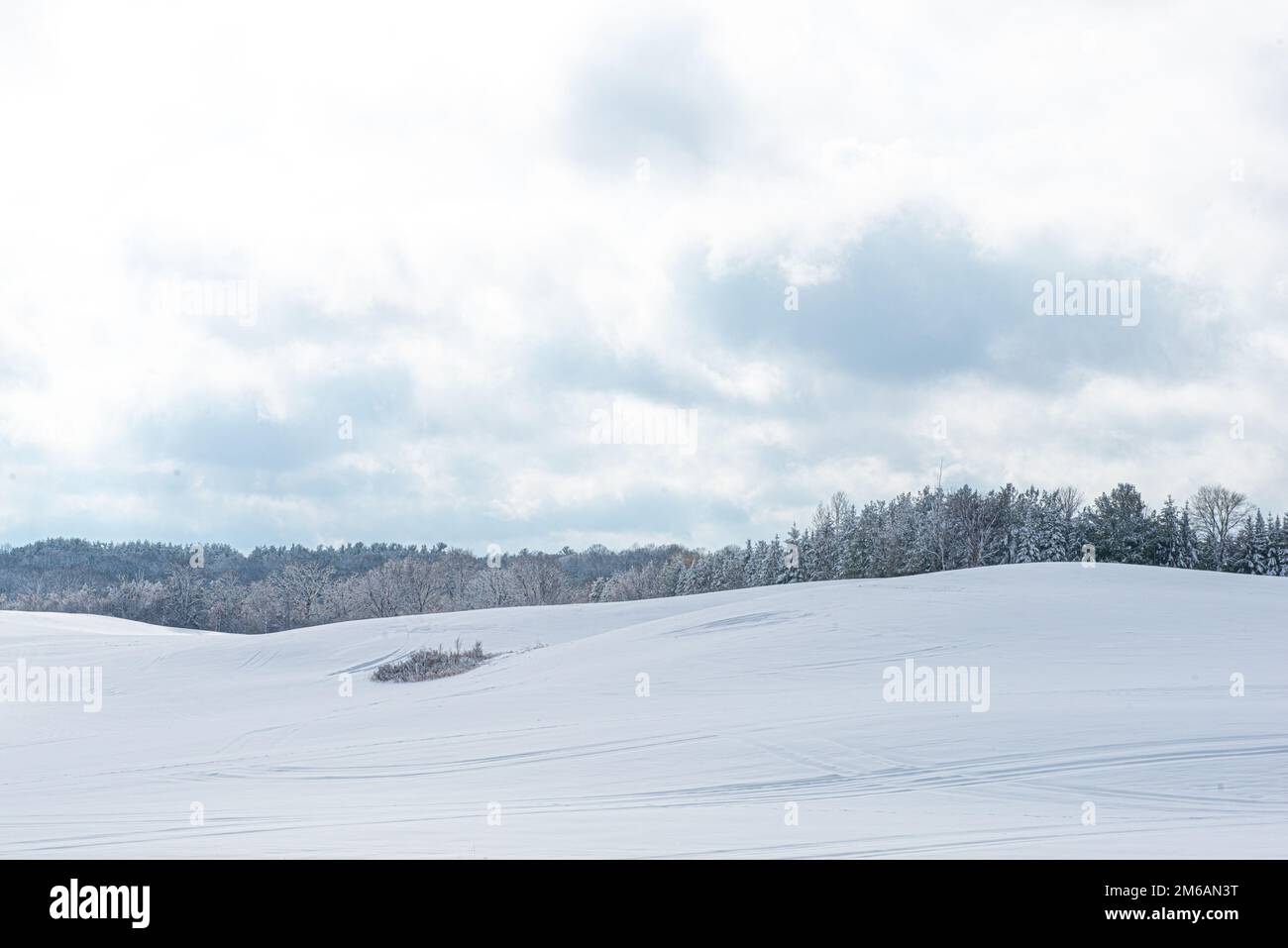Field frost covered trees hi-res stock photography and images - Alamy