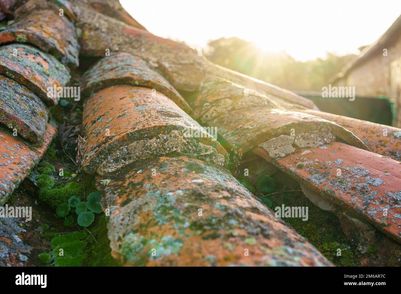 Antique Arabic type tiles on the roof of an old village house in Spain. Stock Photo