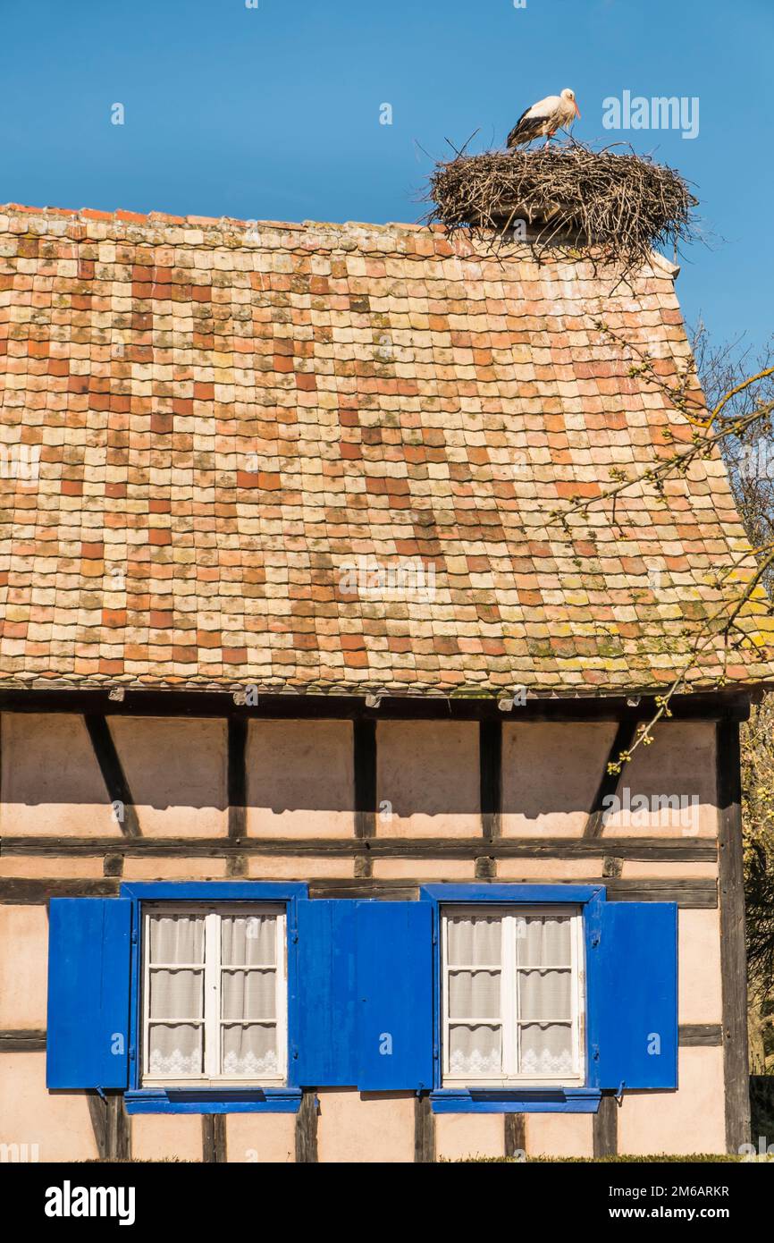 Stork nest on the roof of a half-timbered house Stock Photo