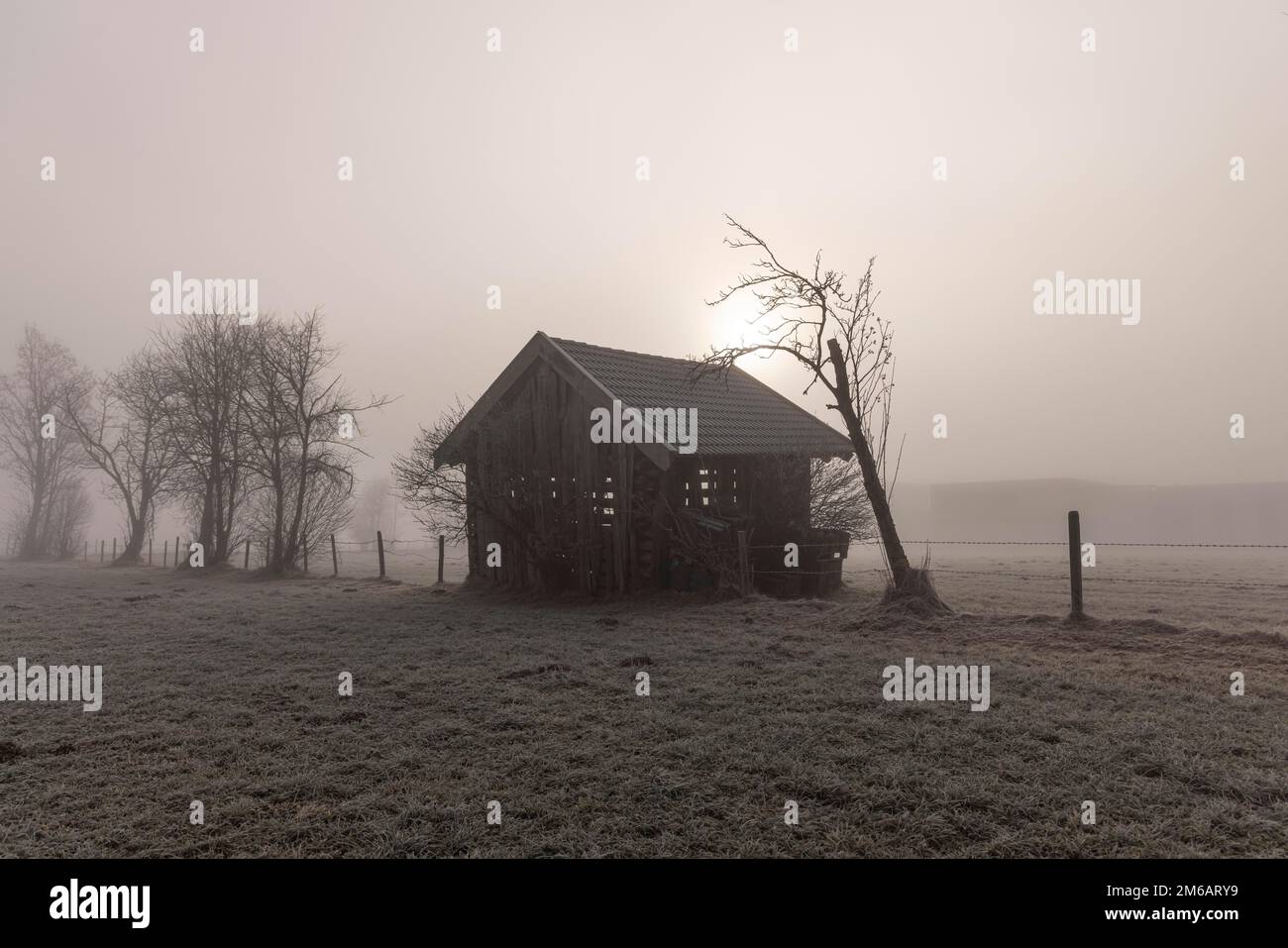 Walk in winter with rising sun and fog Stock Photo - Alamy