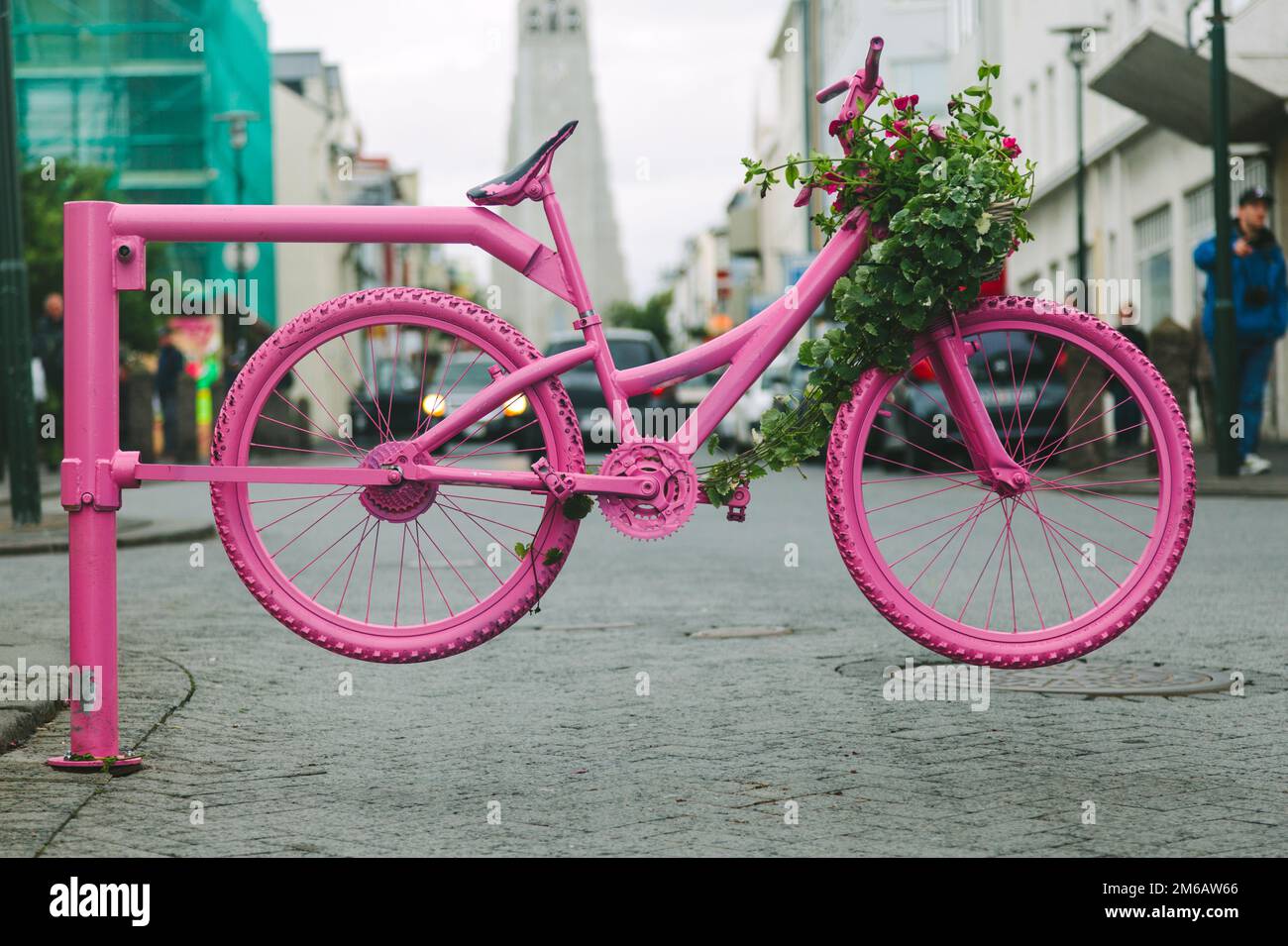 Pink Bicycle Gate in Reykjavik Streets Stock Photo