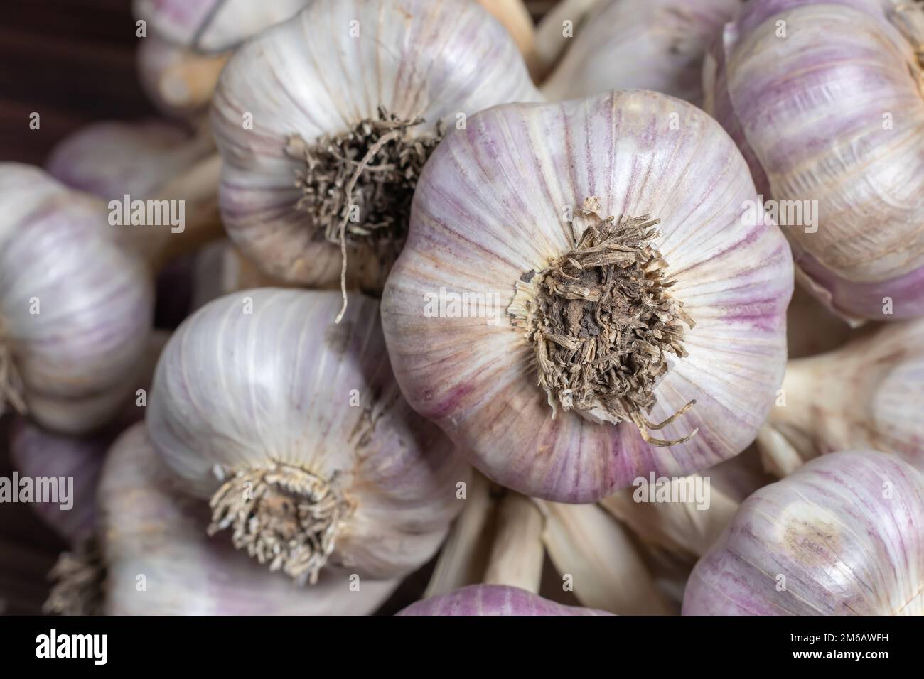 Garlic Cloves and Bulb on vintage wooden boards Stock Photo - Alamy