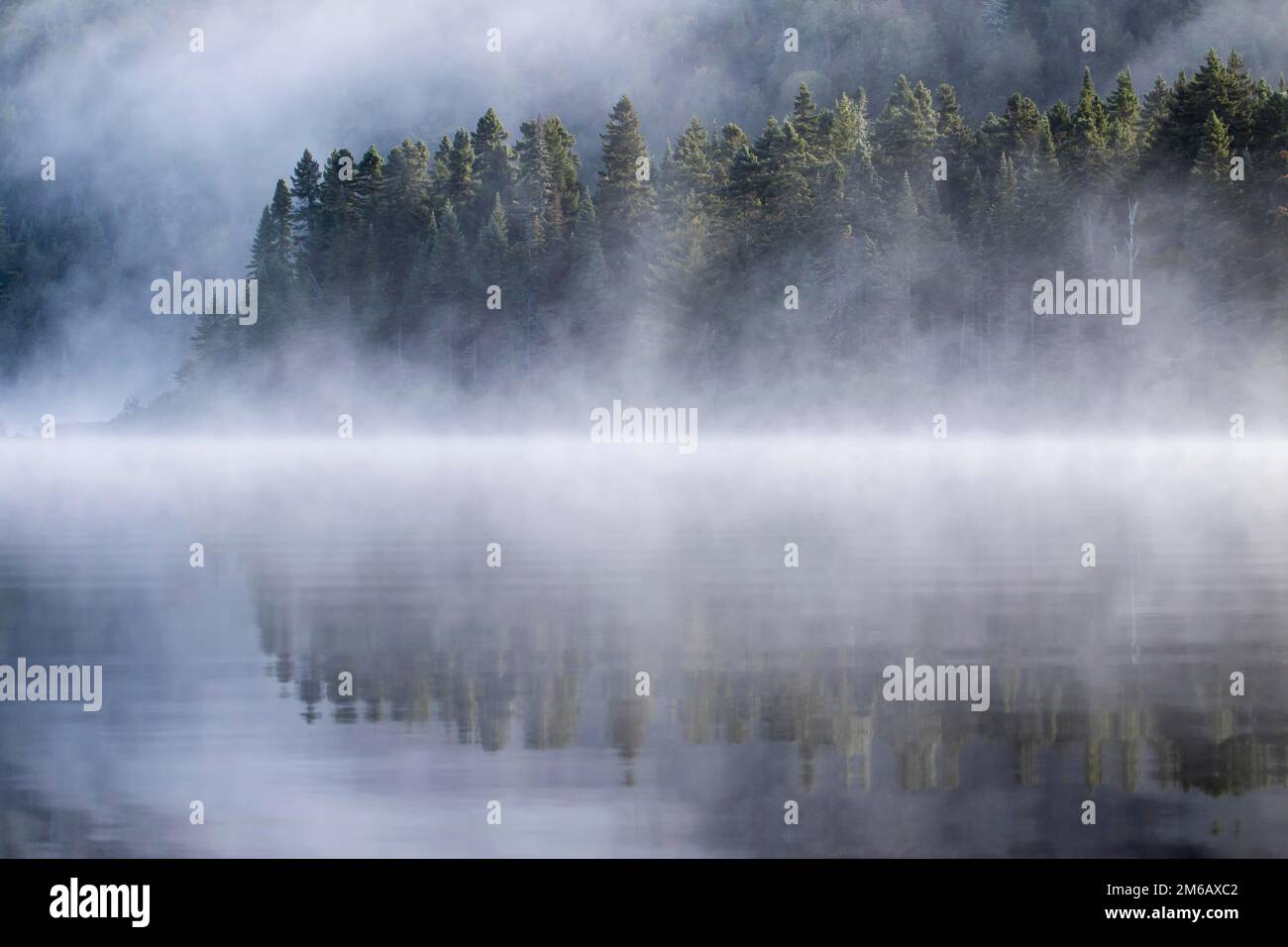 Lake and trees with morning mist Stock Photo - Alamy