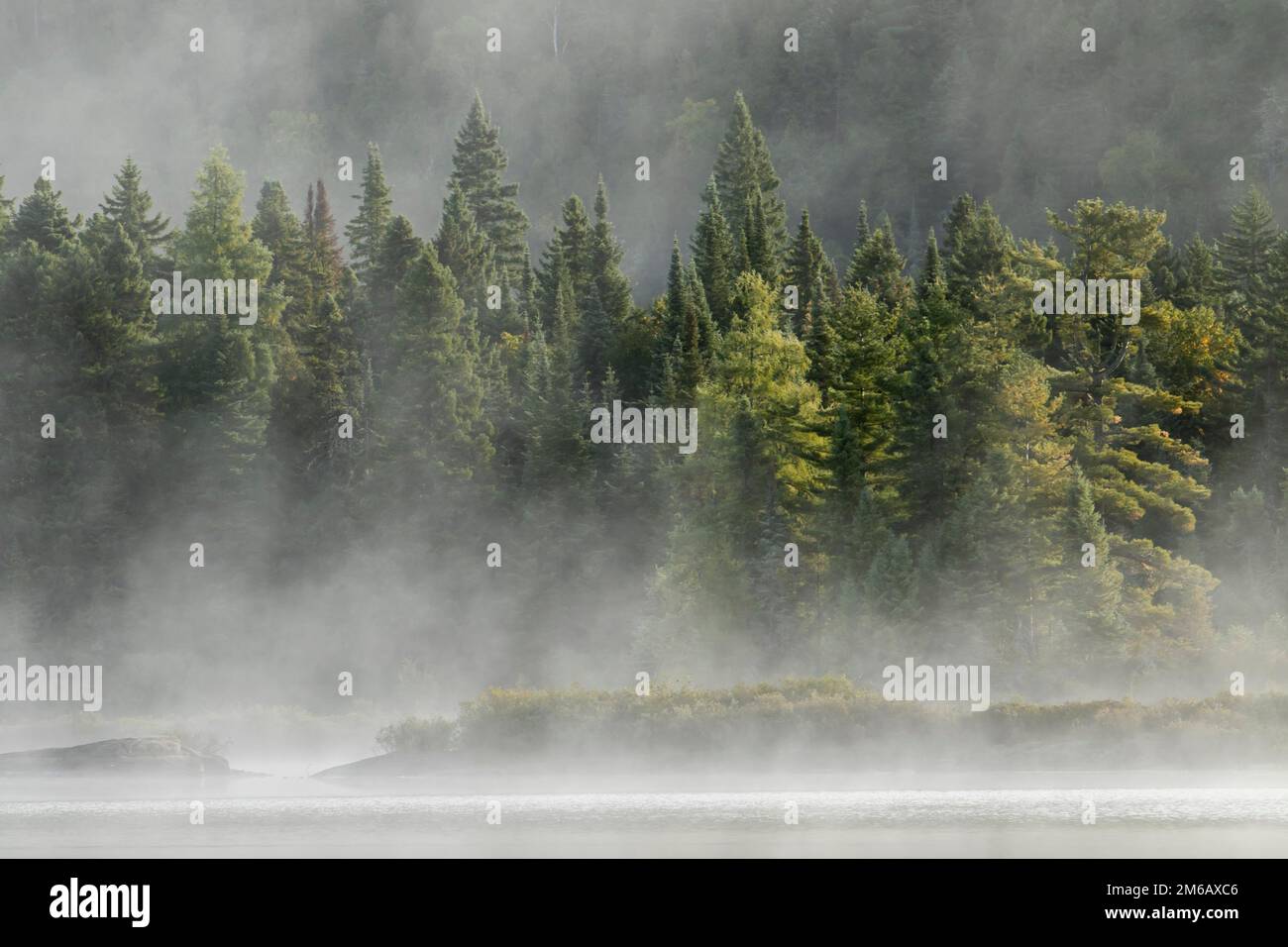 Lake and trees with morning mist Stock Photo - Alamy