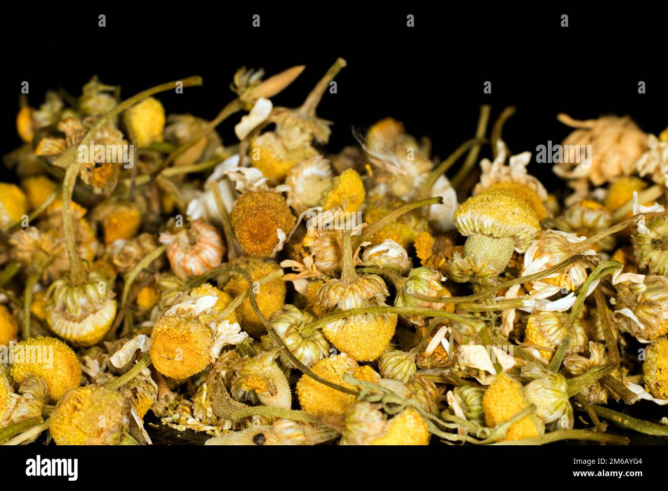 Various Dried Plants for Making Perfect Tea Stock Photo - Image of