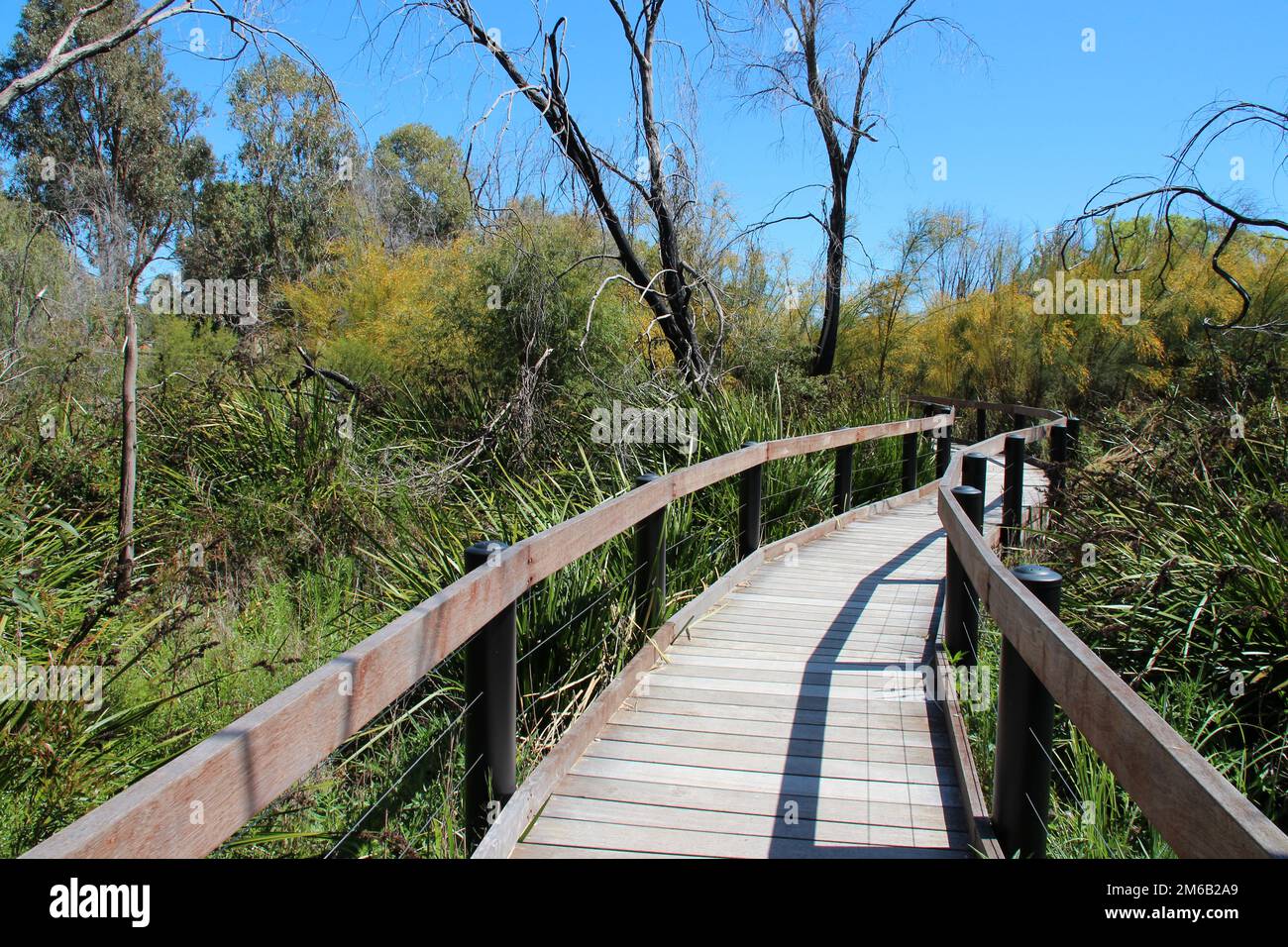at yanchep national park in australia Stock Photo Alamy