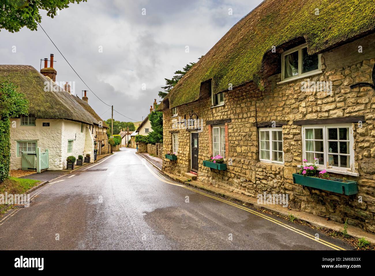 Thatched cottages in the village of West Lulworth, Dorset England UK Stock Photo