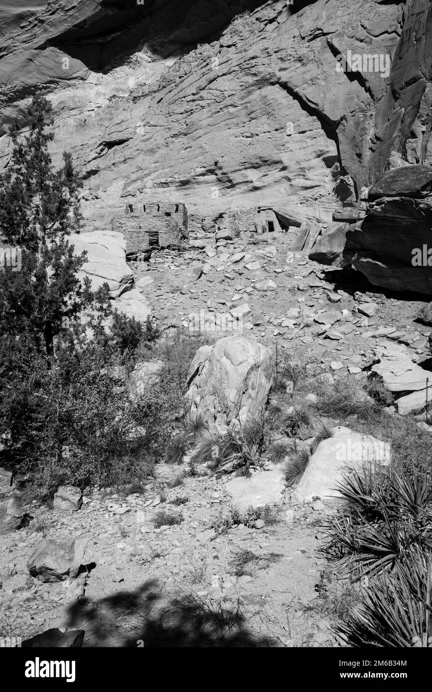 Split Level Ruin. Backpacking in Grand Gulch and viewing Anasazi