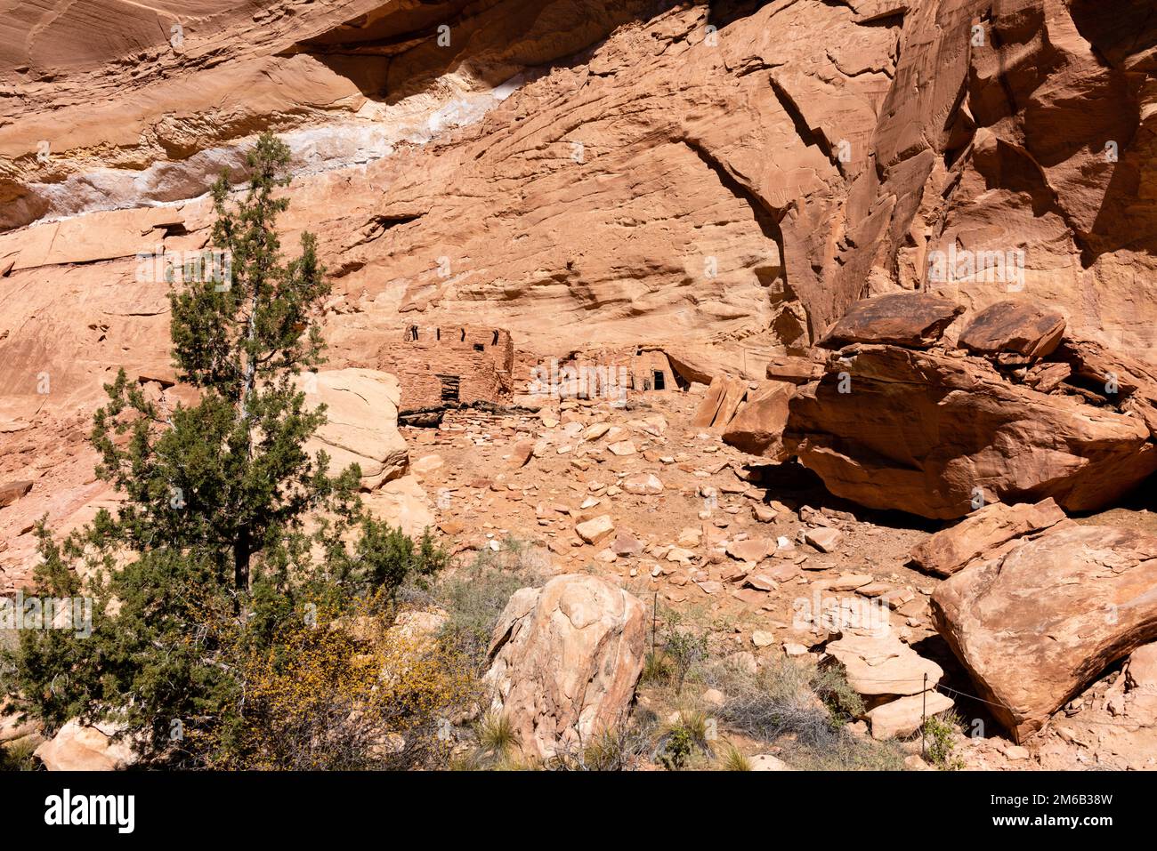 Split Level Ruin Backpacking In Grand Gulch And Viewing Anasazi