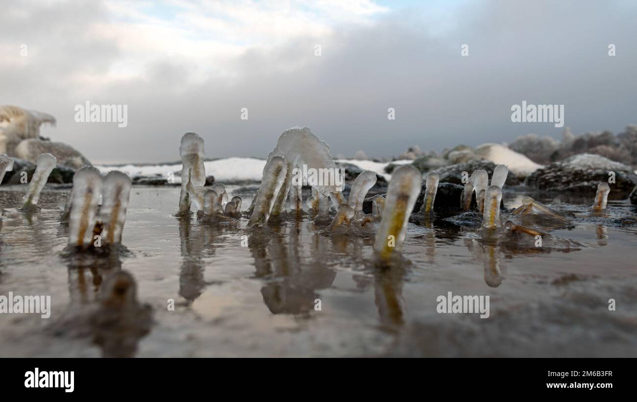 various ice formations on rocks and sandbars on the seashore, ice ...