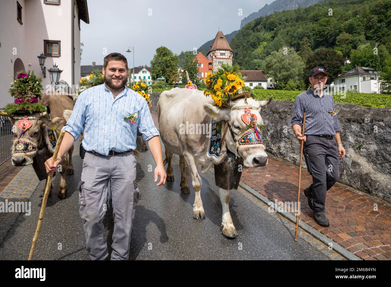 Alpabfahrt pradamee hires stock photography and images Alamy
