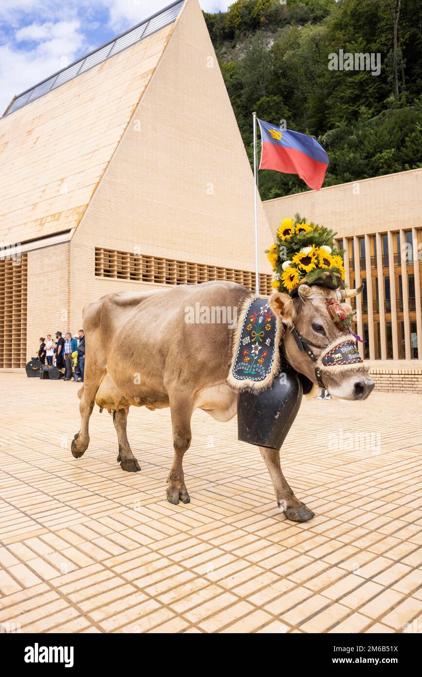 AlpabfahrtPradamee through the Staedtle, Vaduz, Liechtenstein Stock