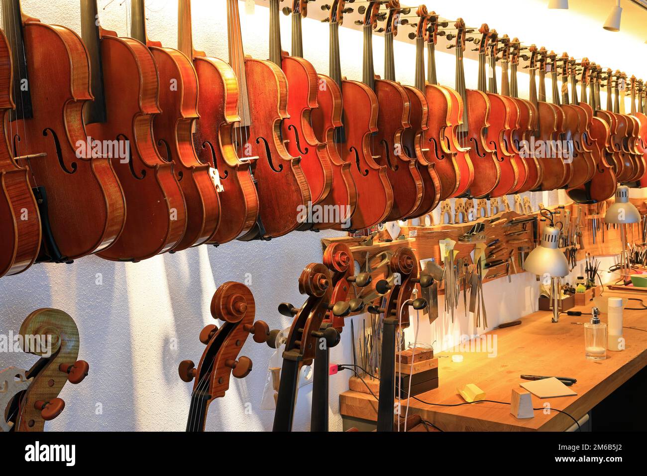 Violins in a row, musical instruments, violin workshop, Landsberg am Lech,  Upper Bavaria, Bavaria, Germany Stock Photo - Alamy