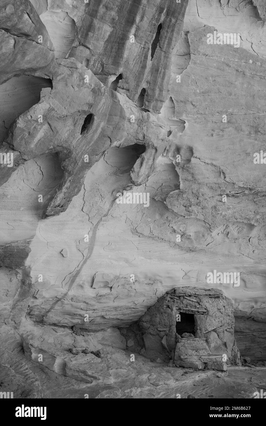 Cliff dwelling. Backpacking in Grand Gulch and viewing Anasazi