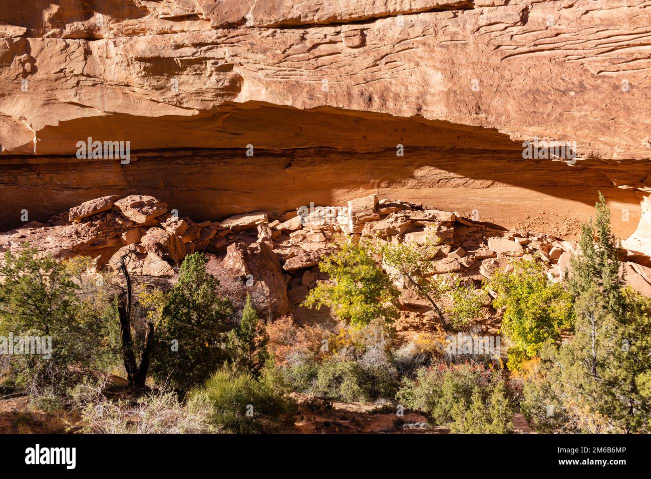 Green Mask Ruin. Backpacking in Grand Gulch and viewing Anasazi