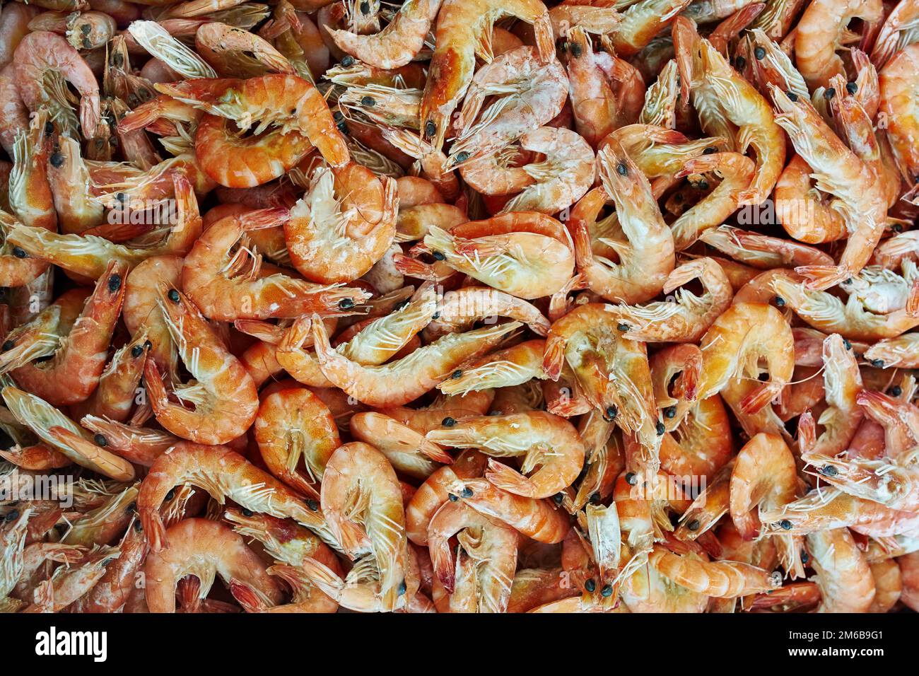 Shrimp in a supermarket Stock Photo Alamy