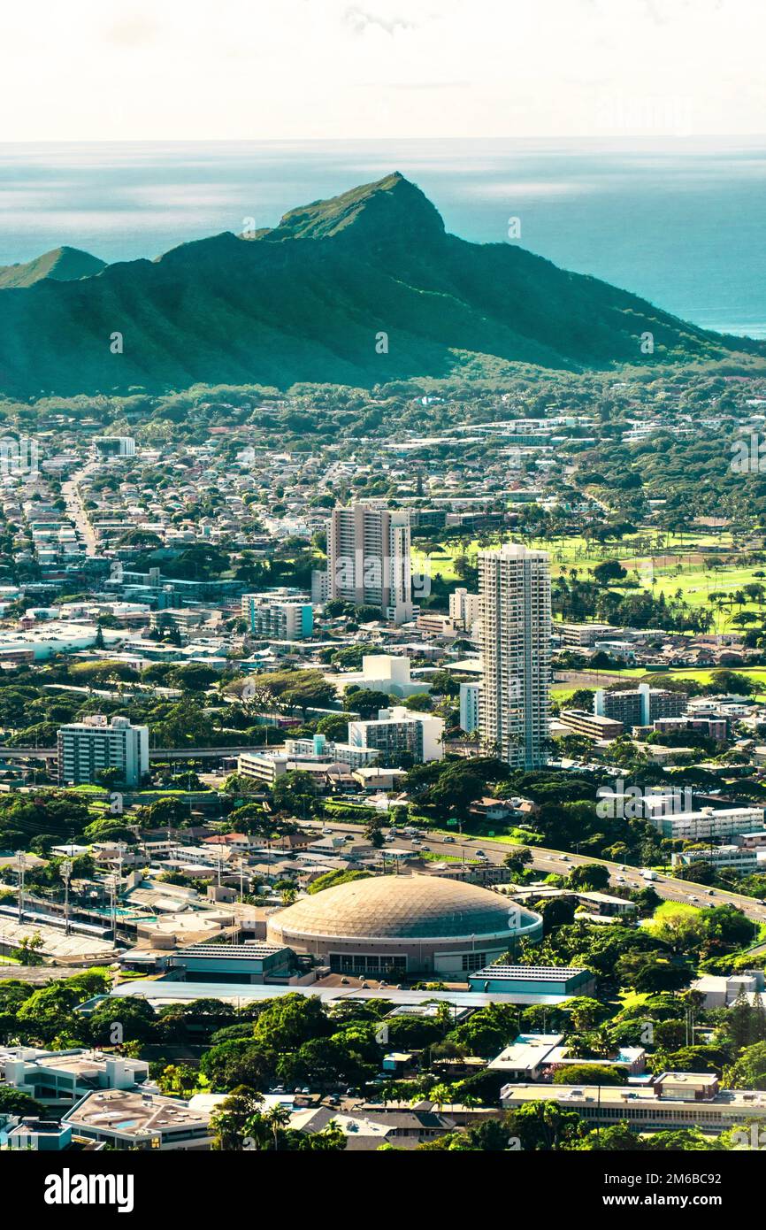 A vertical of the residential and commercial buildings in the Manoa