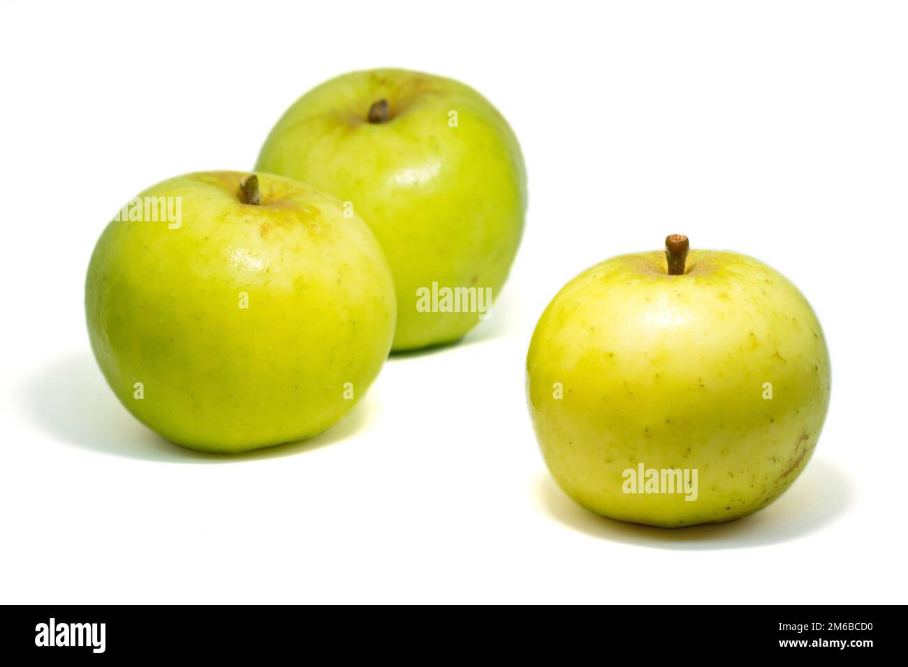 crab-apple-tree-uk-cut-out-stock-images-pictures-alamy