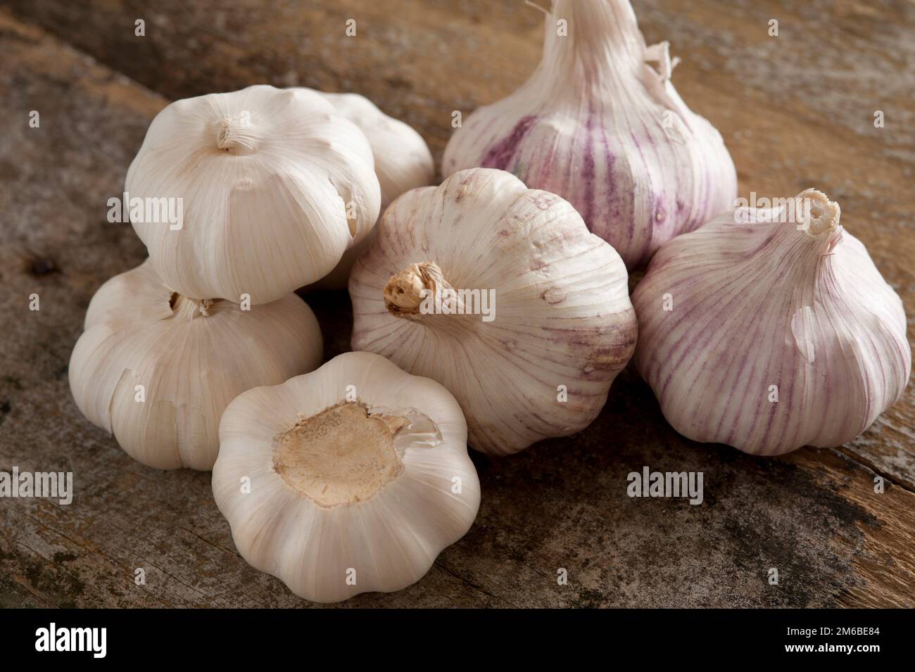Set of picked garlic bulbs Stock Photo